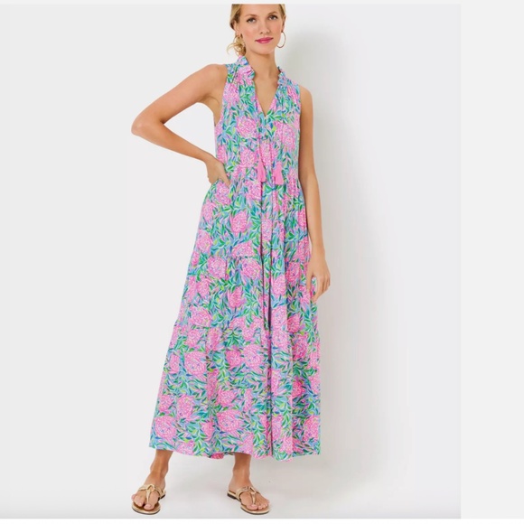 $198 NWT LILLY PULITZER MALONE MAXI DRESS FRENCHIE BLUE PINK TURTLEY IN LOVE L - Picture 1 of 12